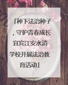 种下法治种子，守护青春成长 宜宾江安水清学校开展法治教育活动